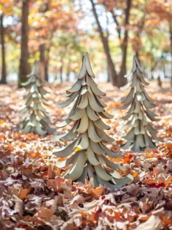 Desert Steel Blue Atlas Cedar -Deals The Garden & Yard Store 8610550 01v desert steel blue atlas cedar