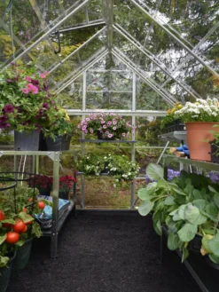 Canopia® By Palram Harmony™ Greenhouse, 6' X 14' 11 Canopia® By Palram Harmony™ Greenhouse, 6' X 14' -Deals The Garden & Yard Store 8610563 03V jpg