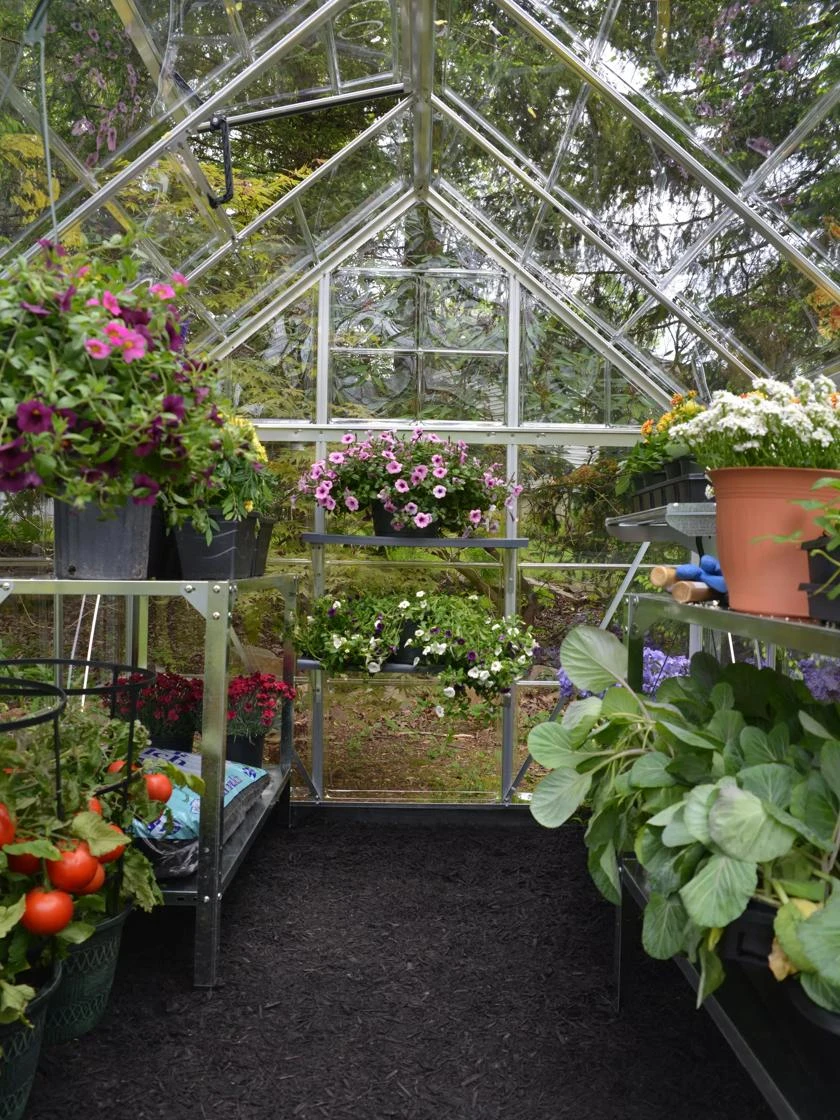 Canopia® By Palram Harmony™ Greenhouse, 6' X 14' 4 Canopia® By Palram Harmony™ Greenhouse, 6' X 14' - Image 4