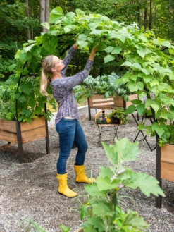 2’ X 8’ Arch Trellis For Planter Boxes -Deals The Garden & Yard Store 8610798 050 tif