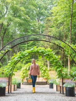 2’ X 8’ Arch Trellis For Planter Boxes -Deals The Garden & Yard Store 8610798 071 tif