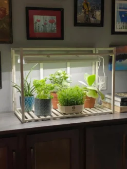 Oslo 1-Tier LED Grow Light Garden -Deals The Garden & Yard Store 8611002 01IN tif