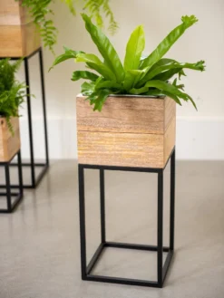 Tartu Elevated Square Planters -Deals The Garden & Yard Store 8611005 035
