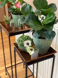 Square Nesting Plant Stands With Trays, Set Of 2 -Deals The Garden & Yard Store 8611014 3651 tif