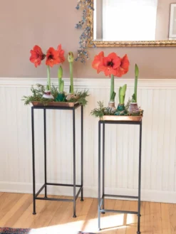 Square Nesting Plant Stands With Trays, Set Of 2