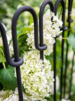 Enfield Linking Border Fence, 23.5" Long -Deals The Garden & Yard Store 8611097 2549 tif