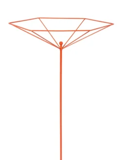 Parasol Plant Supports, Set Of 3 -Deals The Garden & Yard Store 8611129 3840 tif