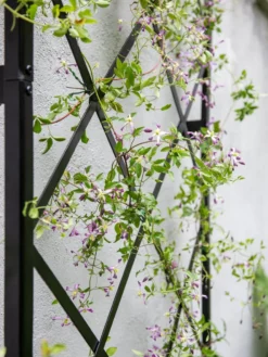 Lattice Gable Wall Trellis -Deals The Garden & Yard Store 8611130 011