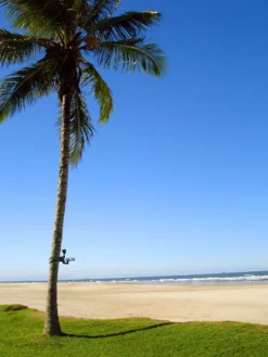 MAXSA® Solar-Powered LED Flag Light -Deals The Garden & Yard Store 8611318 02v