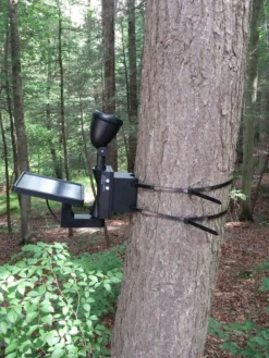 MAXSA® Solar-Powered LED Flag Light -Deals The Garden & Yard Store 8611318 03v