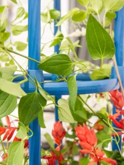 Fleur De Lis Obelisk, 67" 7 Fleur De Lis Obelisk, 67" -Deals The Garden & Yard Store 8611663 0607 tif