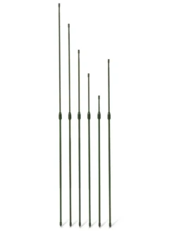 Titan Extendable Stakes, Set Of 6 -Deals The Garden & Yard Store 8611667 3070 tif
