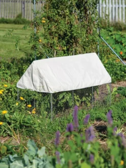 Crop Coop Covers Set -Deals The Garden & Yard Store 8611698 004 tif