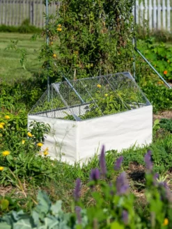 Crop Coop Covers Set -Deals The Garden & Yard Store 8611698 005 tif