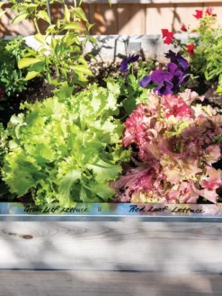 Re-Markable Raised Bed Trim -Deals The Garden & Yard Store 8611758 306 tif