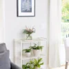 Oslo 2-Tier Plant Stand With Folding Shelves