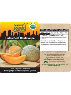Hales Best Cantaloupe Organic Seeds -Deals The Garden & Yard Store 8611872 02v
