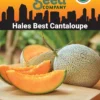 Hales Best Cantaloupe Organic Seeds