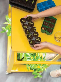 Sili-Seedlings® Seedling Tray, 10-Cell 9 Sili-Seedlings® Seedling Tray, 10-Cell -Deals The Garden & Yard Store 8611886 374 tif
