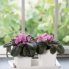 Stoneware Self-Watering Windowsill Planters, Set Of 2