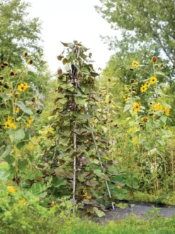 DIY Connector For Teepee Trellis -Deals The Garden & Yard Store 8611896 062 tif