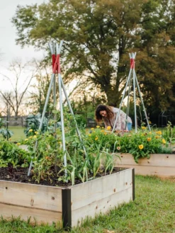 DIY Connector For Teepee Trellis -Deals The Garden & Yard Store 8611896 38 tif