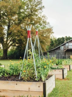 DIY Connector For Teepee Trellis -Deals The Garden & Yard Store 8611896 71 tif