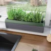 Provence Self-Watering Herb Planter