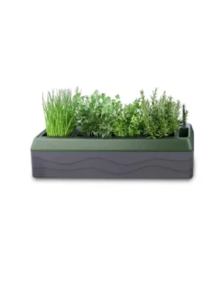 Provence Self-Watering Herb Planter -Deals The Garden & Yard Store 8611965 03V tif