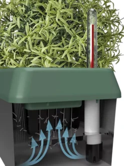 Provence Self-Watering Herb Planter -Deals The Garden & Yard Store 8611965 05V tif