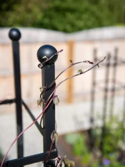 Essex Square Obelisk -Deals The Garden & Yard Store 8611984 278 tif