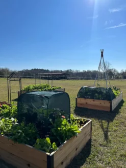 Pest Control Pop-Ups -Deals The Garden & Yard Store 8611989 05 tif