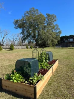 Pest Control Pop-Ups -Deals The Garden & Yard Store 8611989 08 tif