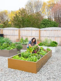 Somerset Metal Raised Beds, As Is -Deals The Garden & Yard Store 8612020 0014 tif