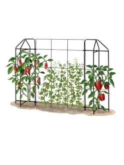 Zenith Trellis -Deals The Garden & Yard Store 8612035 art tif