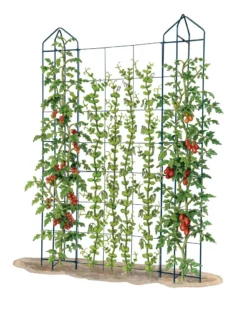 Zenith Trellis -Deals The Garden & Yard Store 8612036 art tif