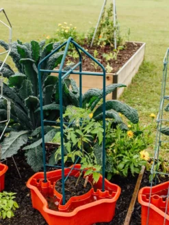 Deluxe Tomato Halos, Set Of 2 -Deals The Garden & Yard Store 8612045 221 tif