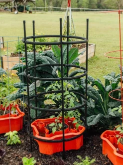 Deluxe Tomato Halos, Set Of 2 -Deals The Garden & Yard Store 8612045 228 tif