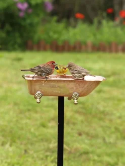 Copper Bathtub Birdbath -Deals The Garden & Yard Store 8612202 01v copper bathtub birdbath