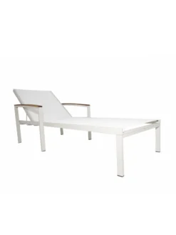 Braylee Reclining Chaise Lounge -Deals The Garden & Yard Store 8612262 07v