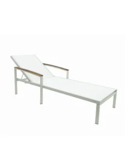 Braylee Reclining Chaise Lounge -Deals The Garden & Yard Store 8612262 08v