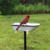White Enamel Bathtub Birdbath