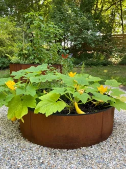 Birdies™ Corten Steel Round Raised Beds -Deals The Garden & Yard Store 8612422 0484 tif
