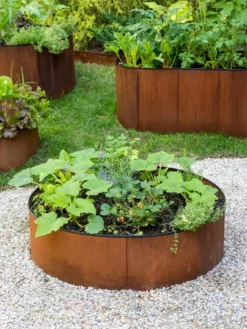 Birdies™ Corten Steel Round Raised Beds -Deals The Garden & Yard Store 8612422 1527 tif