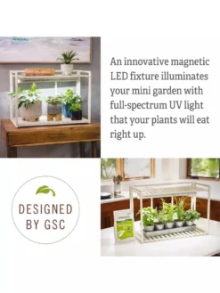 Tabletop Grow Kit -Deals The Garden & Yard Store 8612507 4