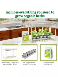 Tabletop Grow Kit -Deals The Garden & Yard Store 8612507 6