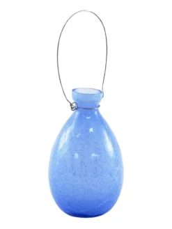 Achla Designs Teardrop Rooting Vase -Deals The Garden & Yard Store 8612530bll 03v