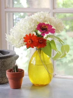 Achla Designs Teardrop Rooting Vase -Deals The Garden & Yard Store 8612530ye 02v