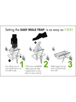 Easy Mole Trap -Deals The Garden & Yard Store 8612557 04v 1