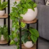 Double Tower Plant Stand